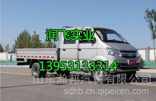 长安跨越新豹mini 全车配件与销售信息指南